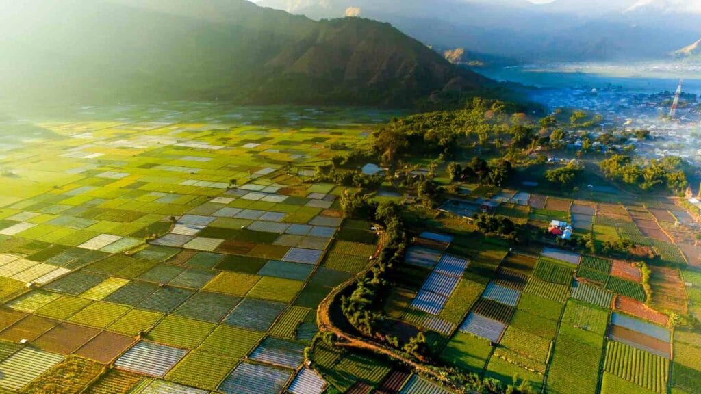 Pemandangan udara dari petak-petak sawah berwarna-warni di lembah Sembalun yang subur, dengan latar belakang perbukitan Gunung Rinjani.
