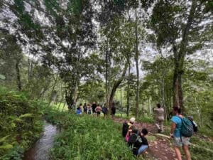 Trekking group in Tete Batu Monkey Forest Lombok