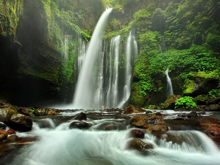 Air Terjun Tiu Kelep di Senaru Lombok Utara dengan pemandangan alam hijau yang menenangkan