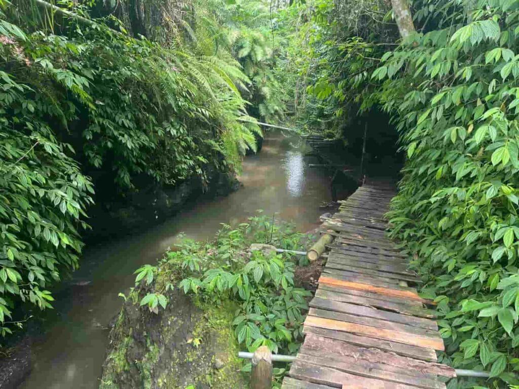 Wooden bridge through jungle path to Sarang Walet waterfall