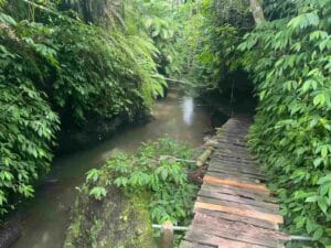 Wooden bridge through jungle path to Sarang Walet waterfall