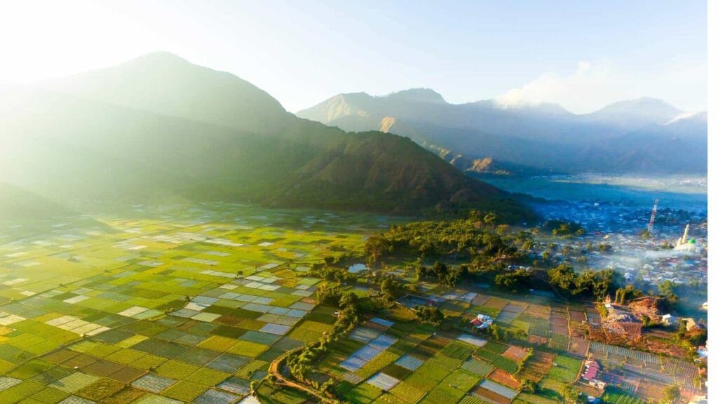 Panorama Gunung Rinjani dan hamparan sawah Sembalun Lombok