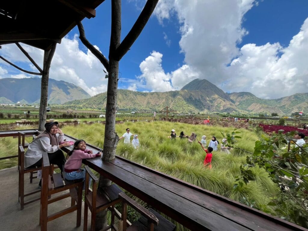 Kedai Sawah Sembalun menyajikan kopi lokal dengan pemandangan sawah dan pegunungan yang menenangkan di Lombok Timur.