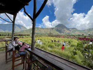 Kedai Sawah Sembalun menyajikan kopi lokal dengan pemandangan sawah dan pegunungan yang menenangkan di Lombok Timur.
