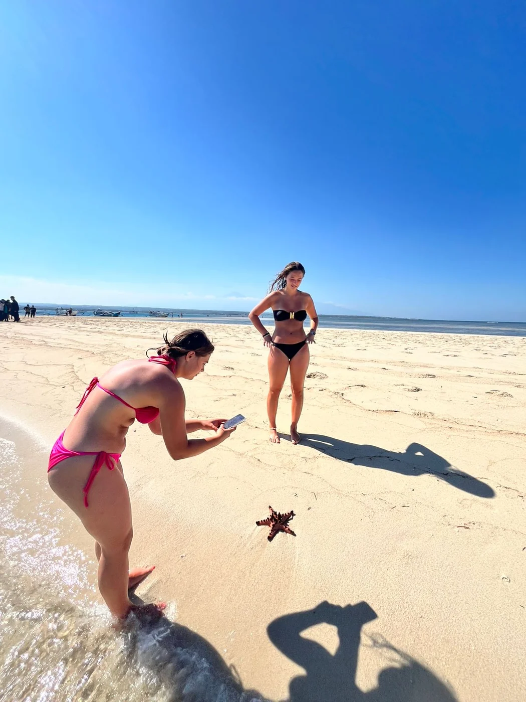 Two guests photographing a starfish at the waterline on a Lombok sandbar