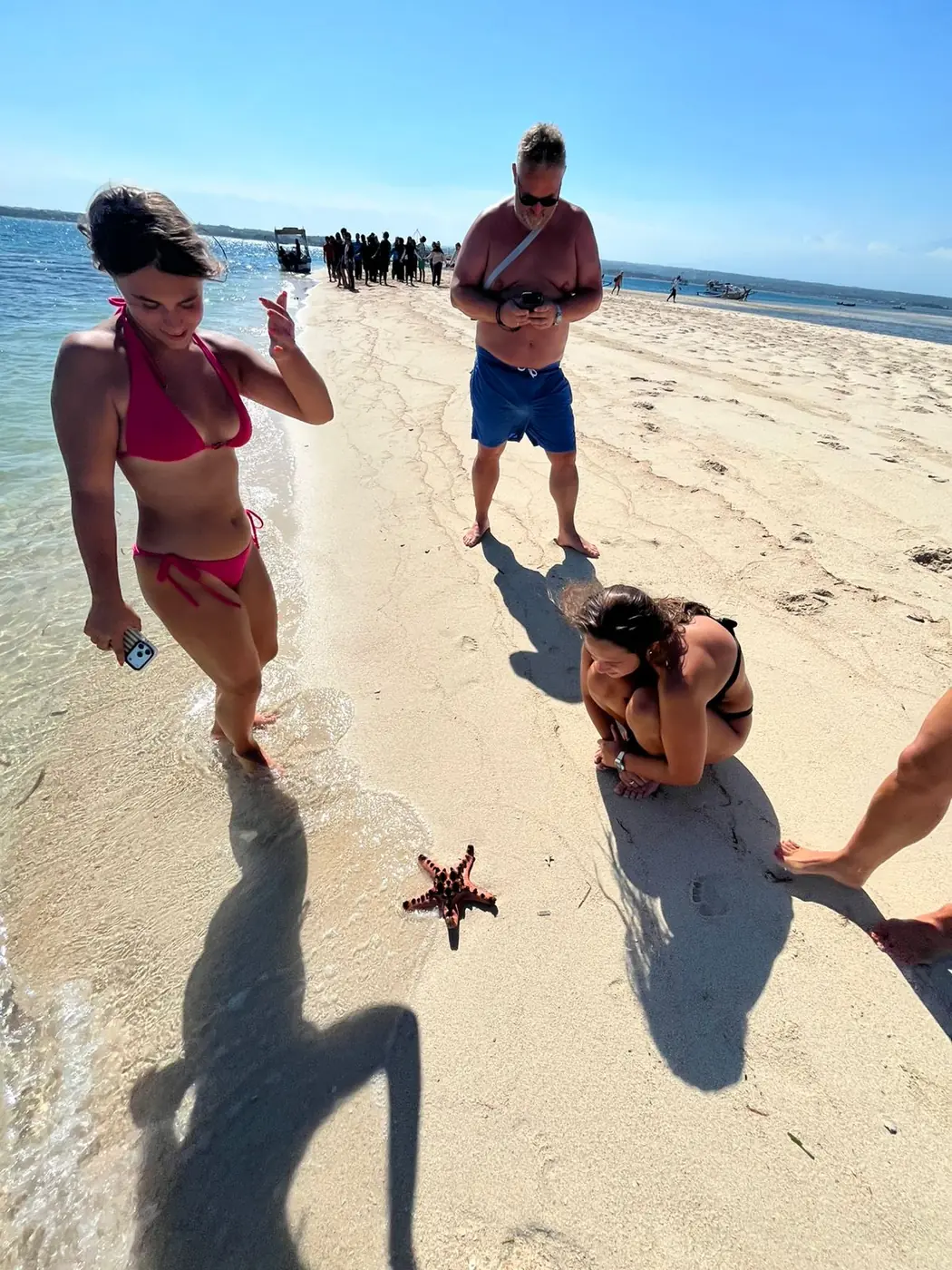 Guests looking at a starfish resting in shallow water at the edge of a sandbar