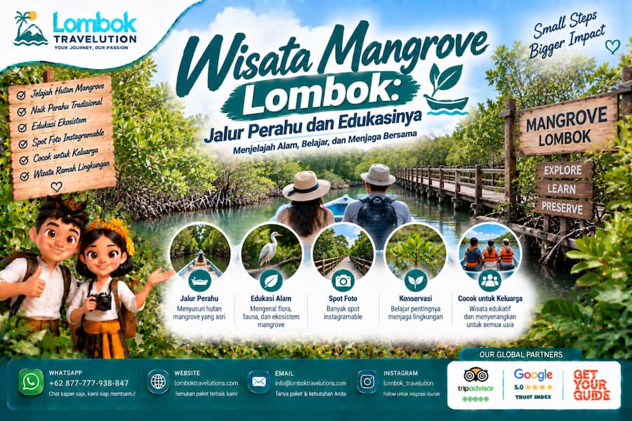 Wisata mangrove Lombok dengan jalur perahu, hutan mangrove, edukasi ekosistem, dan aktivitas wisata